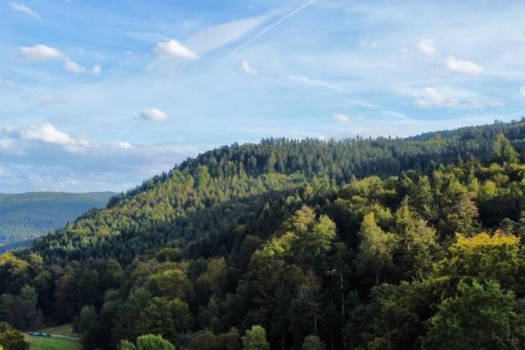 Apartamento Wohnen Im Schwarzwald Mit Panoramablick Bad Herrenalb Exterior foto